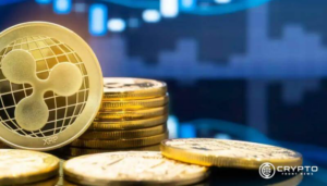 리플, 브라질 증권 거래 기록을 XRP 원장에 추가 3 리플, 브라질 증권 거래